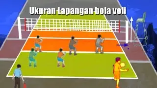 National standard volleyball court size