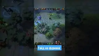 гайд на фуриона 
