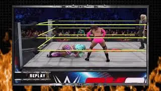 WWE Universe