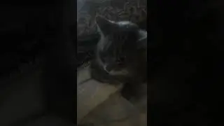 12@