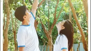 [1시간듣기] 펀치(Punch) _어떤날도, 어떤말도 | 여름날 우리 OST
