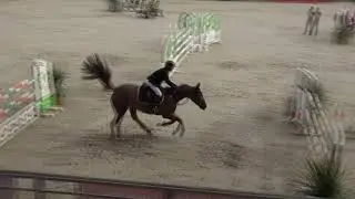 Chamann Has - Vainqueur Grand Prix Top 7 Saint Lô