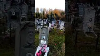 Мужчина пасет коз на кладбище
