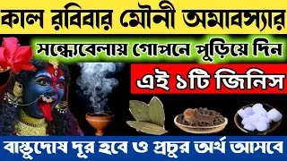 কাল রবিবার মৌনী অমাবস্যার সন্ধ্যাবেলায় গোপনে পুড়িয়ে দিন এটি,বাস্তুদোষ দূর হবে প্রচুর অর্থ আসবে