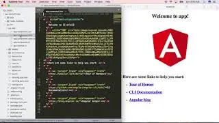 Photos App using Angular Part 1