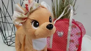Собачка на поводке в сумочке, ну очень СМЕШНАЯ!!!/ 