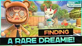 OMG WE FOUND A NEW RARE DREAMIE in 30 NMT!! 🤯 | ACNH