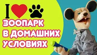 Крыся Лёвкин - Зоопарк в домашних условиях Дети и их питомцы