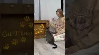 ОТКРЫВАЕМ АДВЕНТ-КАЛЕНДАРЬ ДЛЯ КОШЕК😍