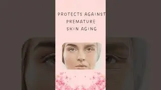 Facial Aesthetic Series | Learn the benefits of Sunscreen
