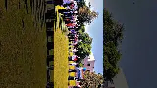 #youtubeshorts #yt #ytshorts #shortfeed #viral #fypシ #reels #shortsvideo #shortvideo #mustuniversity