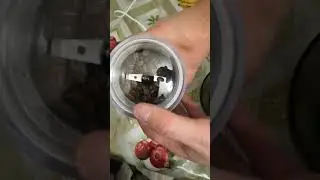 Купили кофемолку HomeClub. Обзор. Первое использование.
