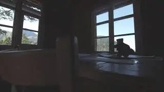 Tiny house in the mountains