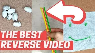 THE BEST REVERS VIDEO Peanut | Tubules | Cheerful Towel