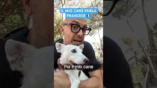 Sono Bruno, il tuo nuovo tutor.