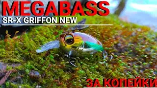 Воблер Копия MEGABASS SR-X GRIFFON NEW с АлиЭкспресс. Воблер на щуку, окуня