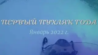 Первый пухляк.