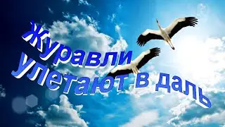 Журавли улетают в даль - Христианские песни - 246