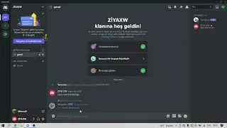 DİSCORD profesyonel sunucu kurma