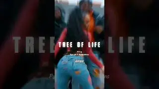 [FREE] 2Smokeyy x Indian Bollywood Drill Type Beat 'TREE OF LIFE'#drillinstrumental#viral#bollywood