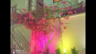 Juli's birthday. জুলির জন্মদিন 💜💜 ।video after a very ling time🍓