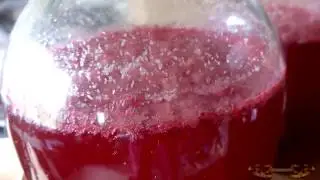 Redcurrant Wine - Part 2, When to Skim Wine | How to Skim Wine