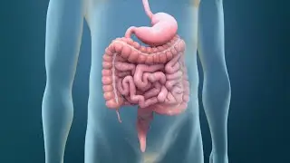 Detección del cáncer colorrectal