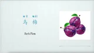 乌梅英文怎么说，水果Fruit：Dark Plum