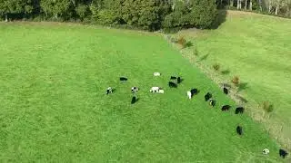 DJI Mavic 3 4x Zoom sample footage
