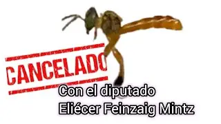 OUR CURRENT SITUATION WITH MELIPONICULTURE