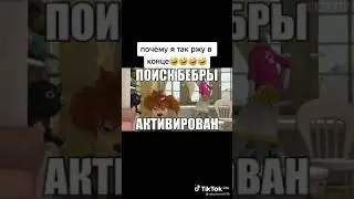 Муд Барбоскиных