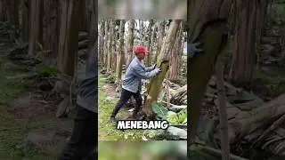 Ternyata Gampang 