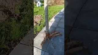 #diy