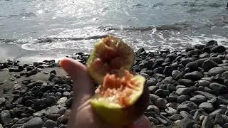 Кипр погода в октябре.