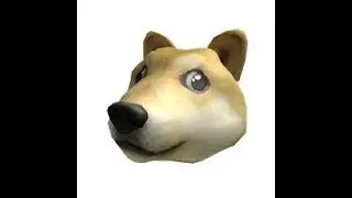 What is Roblox DOGEplay?