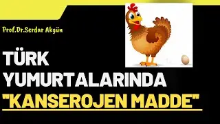 Türk, yumurtasında, Kanserojen madde, Haber, Sağlık, Prof.Dr.Serdar Akgün