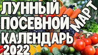 Лунный посевной календарь огородника март 2022. Благоприятные дни для посева.