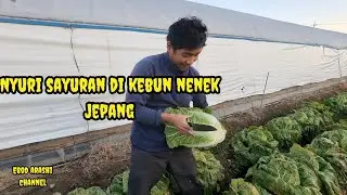 CARA HEMAT HIDUP DI JEPANG🇯🇵? HAL TER KOCAK NYOLONG SAYUR DI JEPANG BIAR DOMPET MAKIN TEBEL