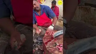 KASIMEDU SPEED SELVAM FISH CUTTING VIDEO #kasimeduselvam #shorts #bigfishcutting #youtube #bigfish
