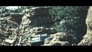 Удивительная находка
