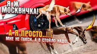 Быдло В Такси l Москвичка Нассала В Такси l Конфликты В Такси