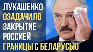 Лукашенко озадачило закрытие Россией границы с Беларусью