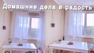 20.08.2024- домашние дела в радость