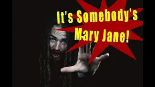 Soulic Paradox - It's Somebody's Mary Jane [MV]