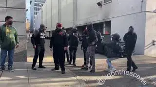 Antifa punks