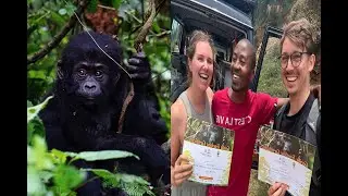 THE GORILLA TREKKING/HABITUATION EXPERIENCE IN UGANDA IS CHEAP COMPARED TO THAT OF RWANDA.