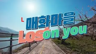 Lost on you   with - 매화마을