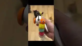Paw’z I Mouse 2.0