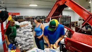 Sunday Fun Day on a Sweet corn & Potato Farm 8/25/24