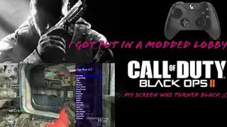 Got put in a modded lobby on bo2